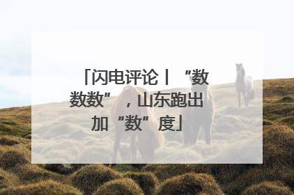 闪电评论丨“数数数”，山东跑出加“数”度