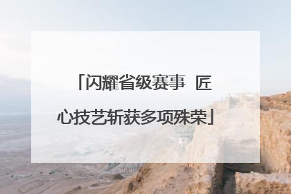 闪耀省级赛事  匠心技艺斩获多项殊荣
