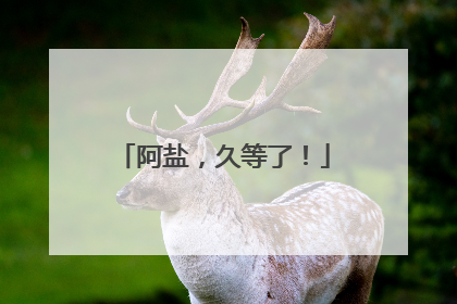 阿盐，久等了！