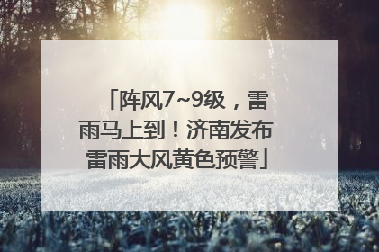 阵风7~9级，雷雨马上到！济南发布雷雨大风黄色预警