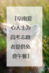 阜南爱心人士为高考志愿者提供免费午餐