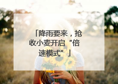降雨要来，抢收小麦开启“倍速模式”