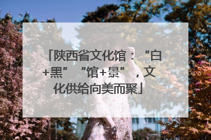 陕西省文化馆：“白+黑”“馆+景”，文化供给向美而聚