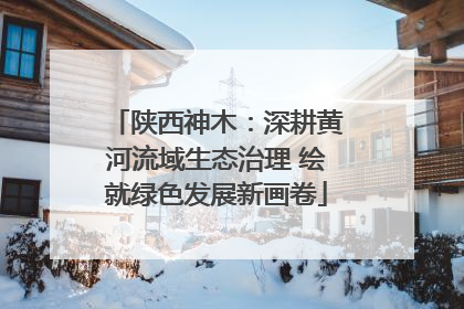 陕西神木：深耕黄河流域生态治理 绘就绿色发展新画卷