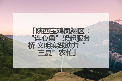 陕西宝鸡凤翔区：“连心角”架起服务桥 文明实践助力“三夏”农忙