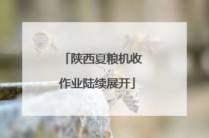 陕西夏粮机收作业陆续展开
