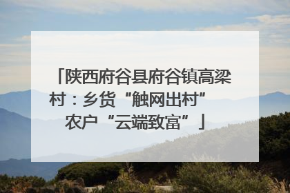 陕西府谷县府谷镇高梁村：乡货“触网出村” 农户“云端致富”