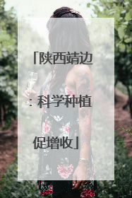 陕西靖边：科学种植促增收