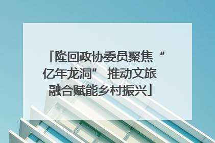 隆回政协委员聚焦“亿年龙洞” 推动文旅融合赋能乡村振兴