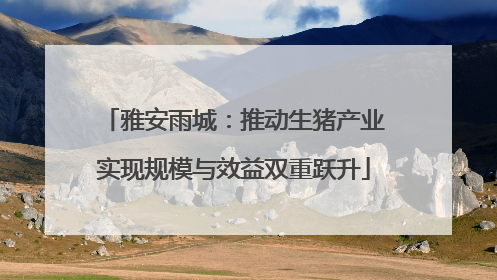 雅安雨城：推动生猪产业实现规模与效益双重跃升