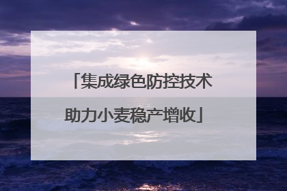 集成绿色防控技术助力小麦稳产增收