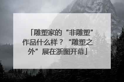 雕塑家的“非雕塑”作品什么样？“雕塑之外”展在浙图开幕