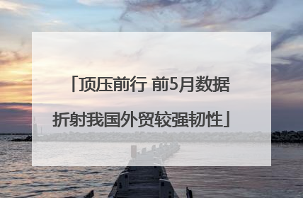 顶压前行 前5月数据折射我国外贸较强韧性