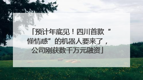 预计年底见！四川首款“懂情感”的机器人要来了，公司刚获数千万元融资