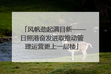 风帆劲起满目新——日照港奋发进取推动管理运营更上一层楼