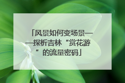 风景如何变场景——探析吉林“赏花游”的流量密码