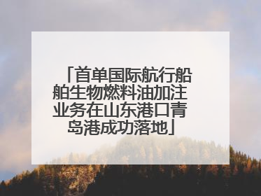 首单国际航行船舶生物燃料油加注业务在山东港口青岛港成功落地