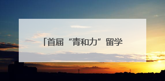 首届“青和力”留学人才嘉年华成功举办