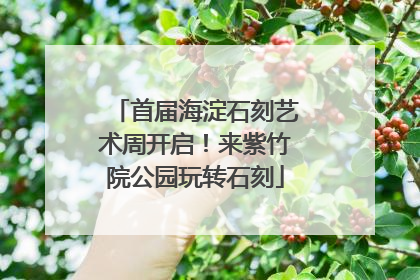 首届海淀石刻艺术周开启！来紫竹院公园玩转石刻