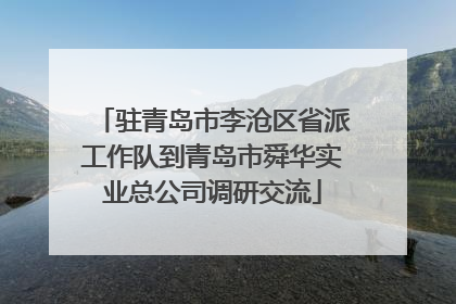 驻青岛市李沧区省派工作队到青岛市舜华实业总公司调研交流