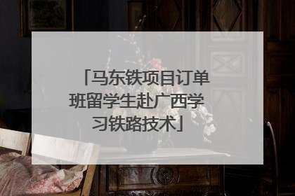 马东铁项目订单班留学生赴广西学习铁路技术
