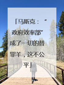 马斯克：“政府效率部”成了一切的替罪羊，这不公平