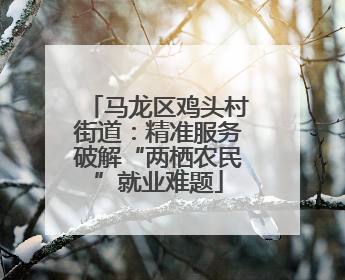 马龙区鸡头村街道：精准服务破解“两栖农民”就业难题