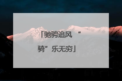 驰骋追风 “骑”乐无穷