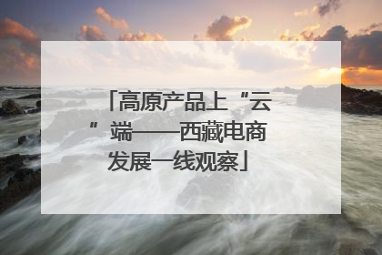 高原产品上“云”端——西藏电商发展一线观察