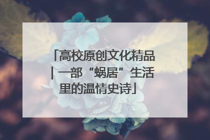 高校原创文化精品｜一部“蜗居”生活里的温情史诗