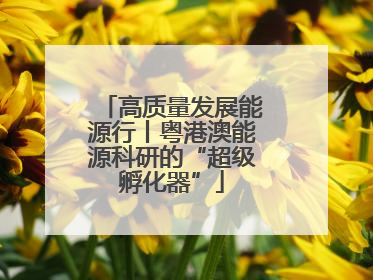 高质量发展能源行丨粤港澳能源科研的“超级孵化器”