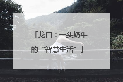 龙口：一头奶牛的“智慧生活”