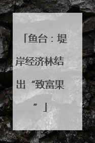 鱼台：堤岸经济林结出“致富果”