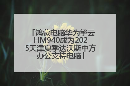 鸿蒙电脑华为擎云 HM940成为2025天津夏季达沃斯中方办公支持电脑