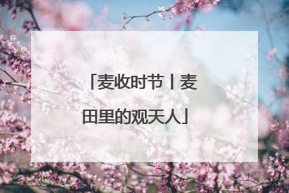 麦收时节丨麦田里的观天人
