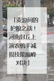 麦浪间的护粮之战！河南封丘上演农机手减损技能巅峰对决