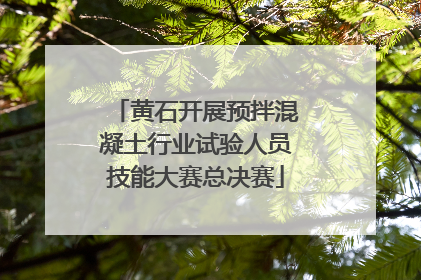 黄石开展预拌混凝土行业试验人员技能大赛总决赛