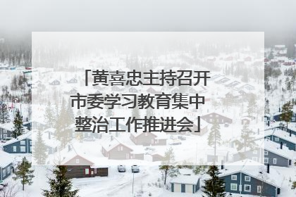 黄喜忠主持召开市委学习教育集中整治工作推进会