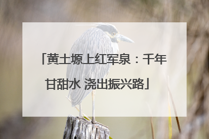 黄土塬上红军泉：千年甘甜水 浇出振兴路