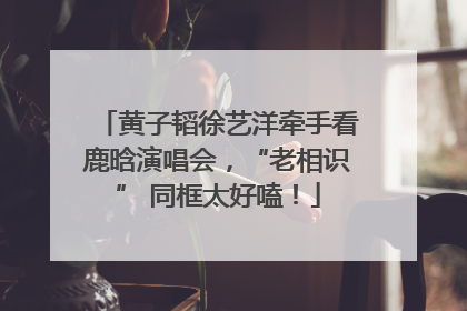 黄子韬徐艺洋牵手看鹿晗演唱会，“老相识” 同框太好嗑！