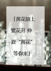 黄花镇上繁花开 仲夏“黄花”等你来