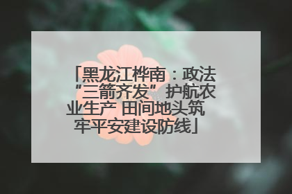 黑龙江桦南：政法“三箭齐发”护航农业生产 田间地头筑牢平安建设防线