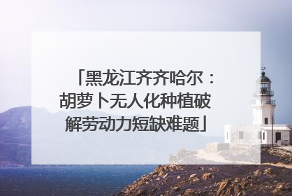 黑龙江齐齐哈尔：胡萝卜无人化种植破解劳动力短缺难题