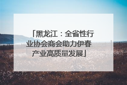 黑龙江：全省性行业协会商会助力伊春产业高质量发展