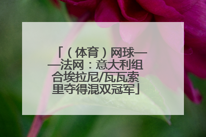 （体育）网球——法网：意大利组合埃拉尼/瓦瓦索里夺得混双冠军