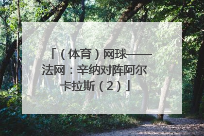 （体育）网球——法网：辛纳对阵阿尔卡拉斯（2）