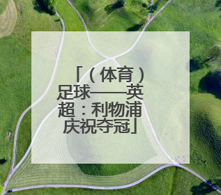 （体育）足球——英超：利物浦庆祝夺冠