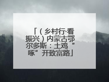 （乡村行·看振兴）内蒙古鄂尔多斯：土鸡“啄”开致富路