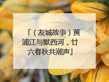 （友城故事）黄浦江与默西河，廿六春秋共潮声