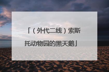 （外代二线）索斯托动物园的黑天鹅